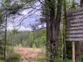 Skylt vid Kilsbergens vandringsled visar vägen till Stakadämmen och andra platser. En vacker skogsmiljö.
