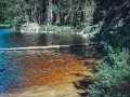 En stilla sjö med en fallen trädstam som flyter på ytan. Skogen och klipporna runt omkring ger en känsla av var ligger Tiveden.