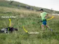 Man springer med hund i en kuperad terräng, utrustad med sele, lina och bälte för canicross.