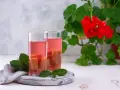 Två glas med rosa rabarbersnaps och myntablad. En röd pelargon i bakgrunden.