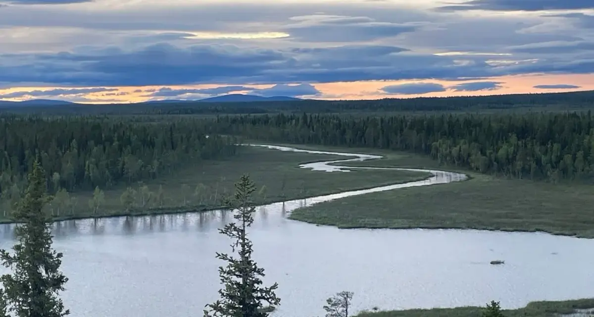 En slingrande flod genom ett vidsträckt skoglandskap i Muddus nationalpark. Molnen på himlen färgas av solnedgången.