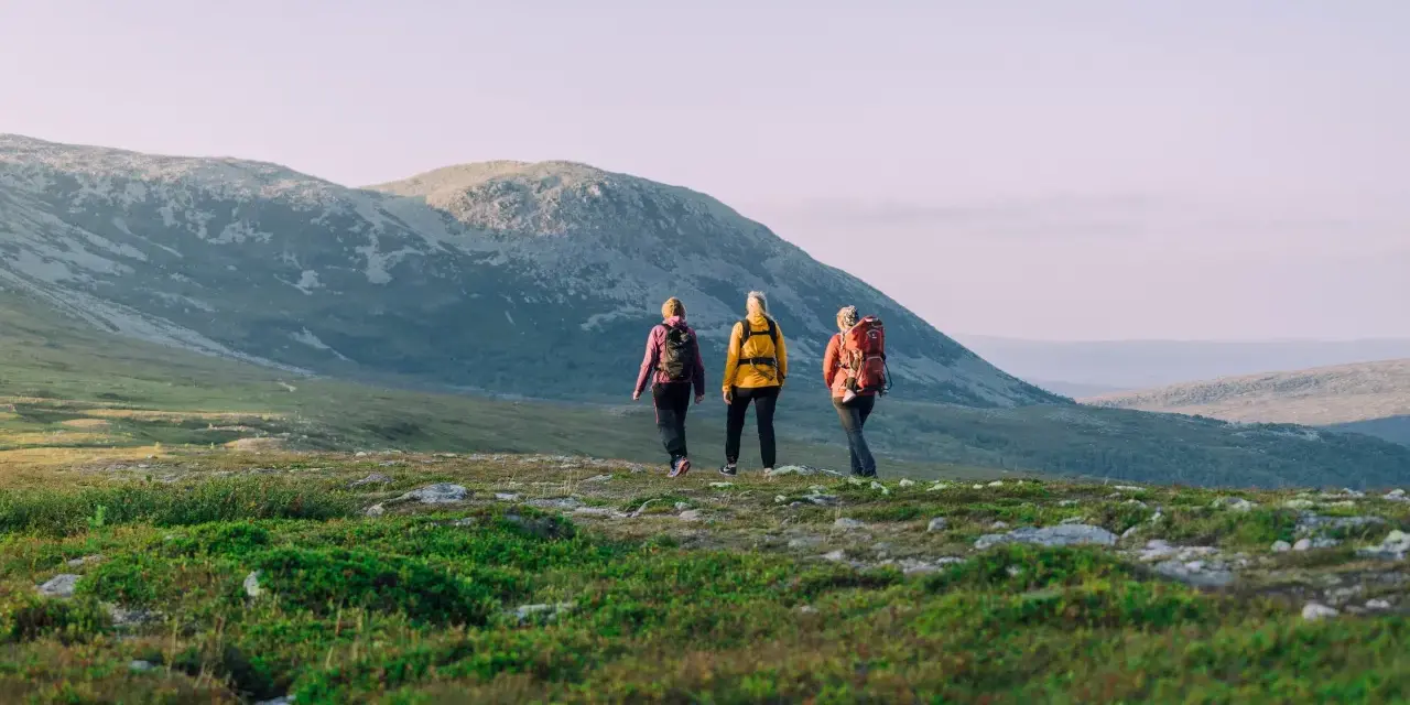 Tre personer på vandring i Idre fjällandskap. Solen lyser på de böljande kullarna och fjällen i bakgrunden.