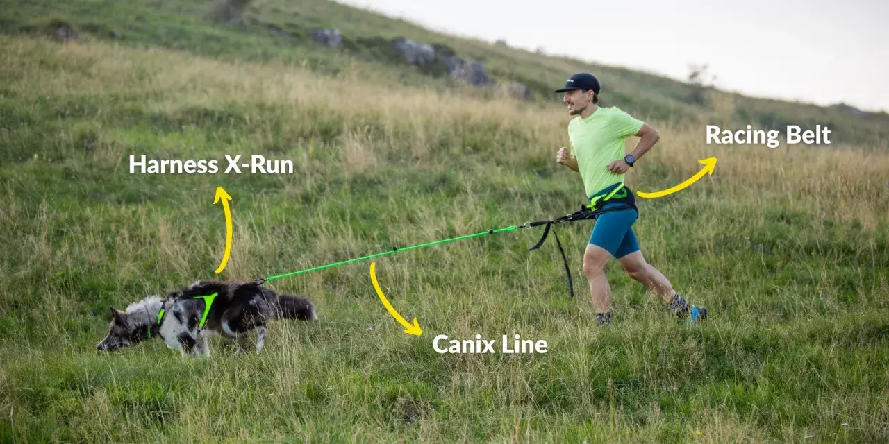 Man springer med hund i en kuperad terräng, utrustad med sele, lina och bälte för canicross.
