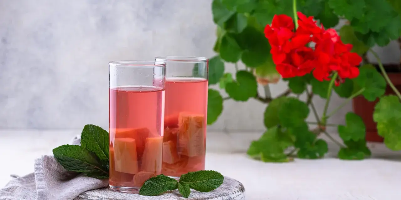 Två glas med rosa rabarbersnaps och myntablad. En röd pelargon i bakgrunden.