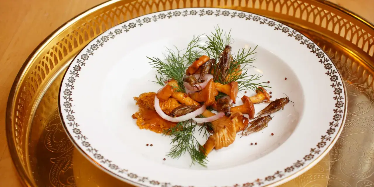 En tallrik med kantareller, lökringar och dill. Ett spännande kantareller recept med en oväntad twist.