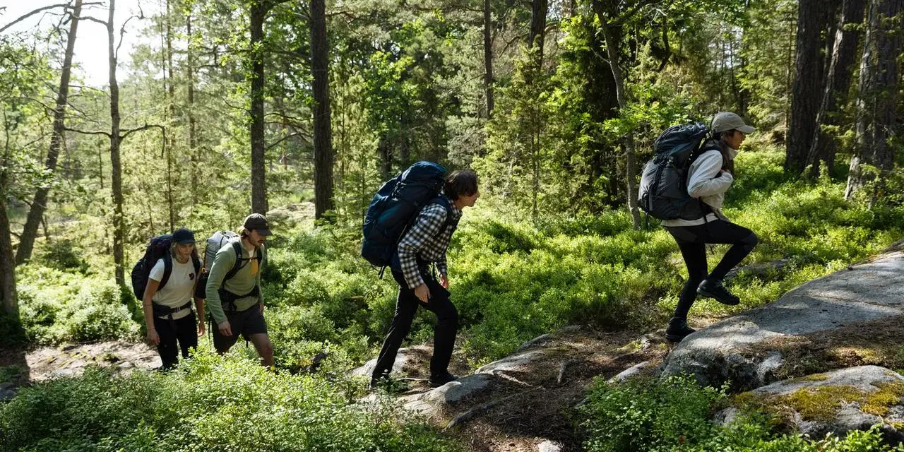Vandrare med ryggsäckar går uppför en stig i en grön skog. De utforskar olika skåneleden etapper.