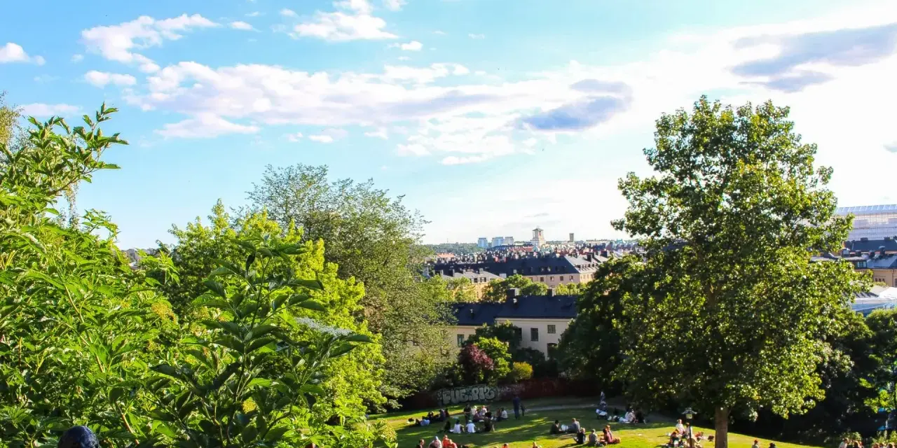 En solig dag med en härlig piknik i parken. Människor njuter av gräset och utsikten över staden.