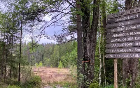 Skylt vid Kilsbergens vandringsled visar vägen till Stakadämmen och andra platser. En vacker skogsmiljö.