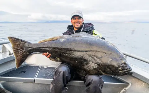 Lycklig fiskare med en enorm hälleflundra, ett bevis på framgångsrikt havsfiske i Norge.