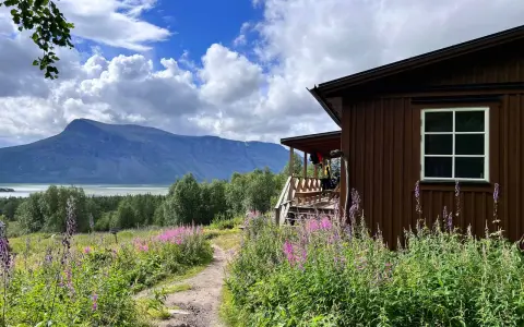 En brun stuga vid en blomsteräng med fjäll i bakgrunden. En stig leder mot stugan, en del av Kungsleden i Sarek.