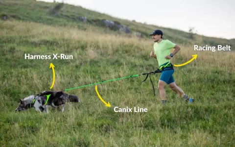 Man springer med hund i en kuperad terräng, utrustad med sele, lina och bälte för canicross.