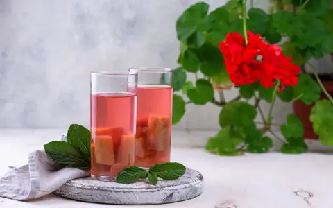 Två glas med rosa rabarbersnaps och myntablad. En röd pelargon i bakgrunden.