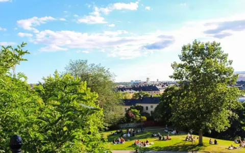 En solig dag med en härlig piknik i parken. Människor njuter av gräset och utsikten över staden.