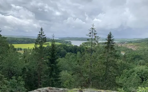 Vacker utsikt över sjö och skog, perfekt för vandringsleder Alingsås. Molnig himmel över det gröna landskapet.