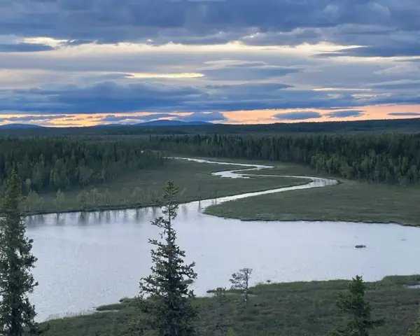 En slingrande flod genom ett vidsträckt skoglandskap i Muddus nationalpark. Molnen på himlen färgas av solnedgången.