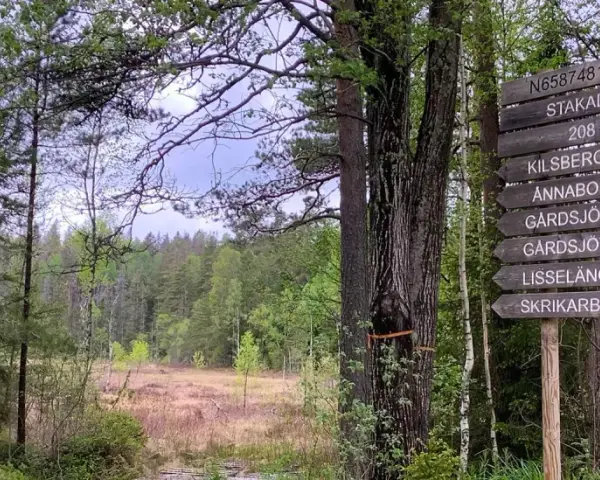 Skylt vid Kilsbergens vandringsled visar vägen till Stakadämmen och andra platser. En vacker skogsmiljö.