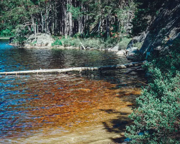 En stilla sjö med en fallen trädstam som flyter på ytan. Skogen och klipporna runt omkring ger en känsla av var ligger Tiveden.