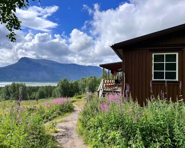 En brun stuga vid en blomsteräng med fjäll i bakgrunden. En stig leder mot stugan, en del av Kungsleden i Sarek.