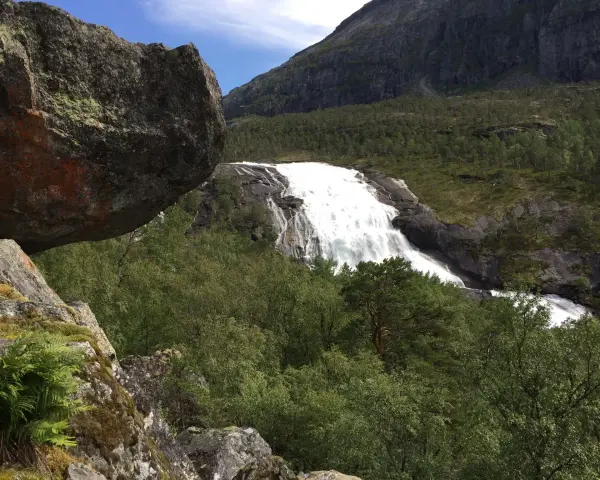 En mäktig fors forsar nerför bergssluttningen, omgiven av grönskande skog och stenblock. En perfekt vy för vandring på Hardangervidda.