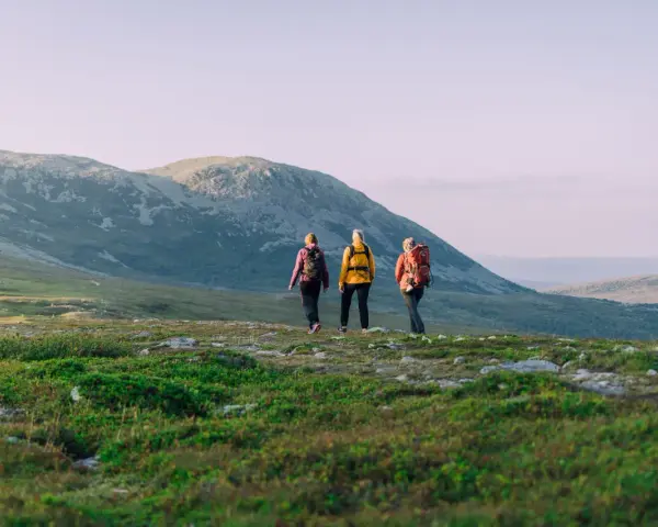 Tre personer på vandring i Idre fjällandskap. Solen lyser på de böljande kullarna och fjällen i bakgrunden.