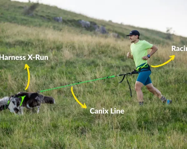 Man springer med hund i en kuperad terräng, utrustad med sele, lina och bälte för canicross.