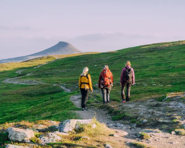 Tre vänner vandrar på en stig i fjällen, redo för äventyr med sina ryggsäckar. En perfekt stund för att kolla stf packlista.