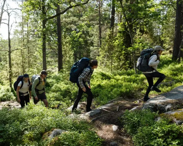 Vandrare med ryggsäckar går uppför en stig i en grön skog. De utforskar olika skåneleden etapper.