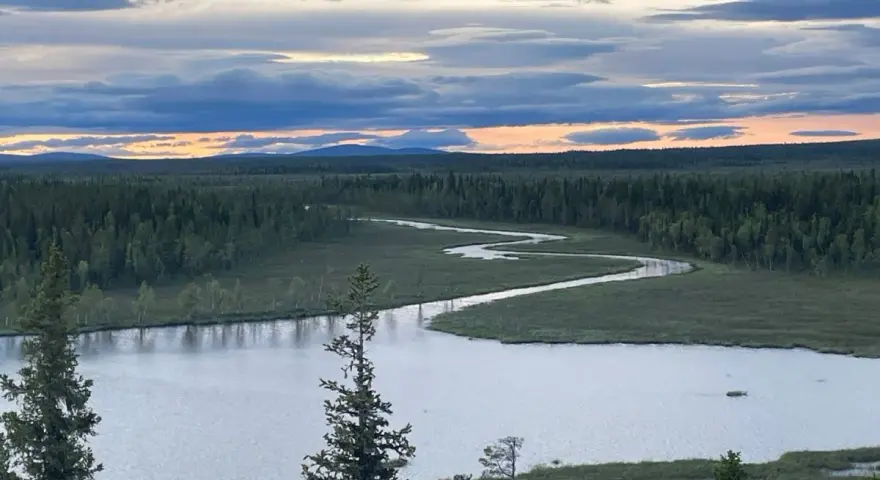 En slingrande flod genom ett vidsträckt skoglandskap i Muddus nationalpark. Molnen på himlen färgas av solnedgången.