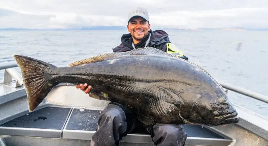 Lycklig fiskare med en enorm hälleflundra, ett bevis på framgångsrikt havsfiske i Norge.