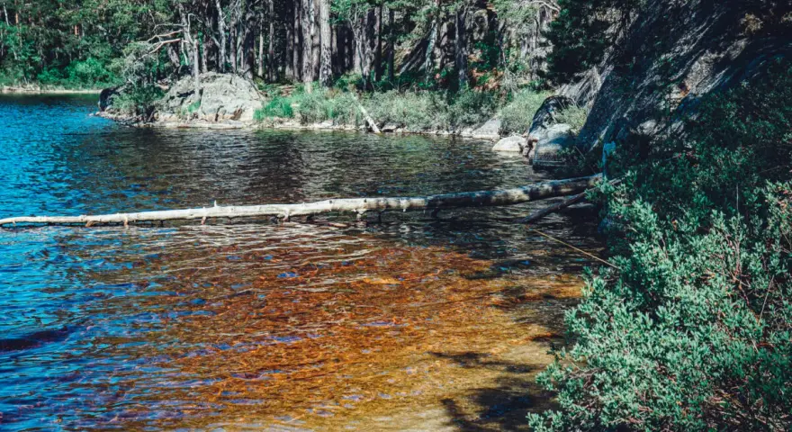 En stilla sjö med en fallen trädstam som flyter på ytan. Skogen och klipporna runt omkring ger en känsla av var ligger Tiveden.