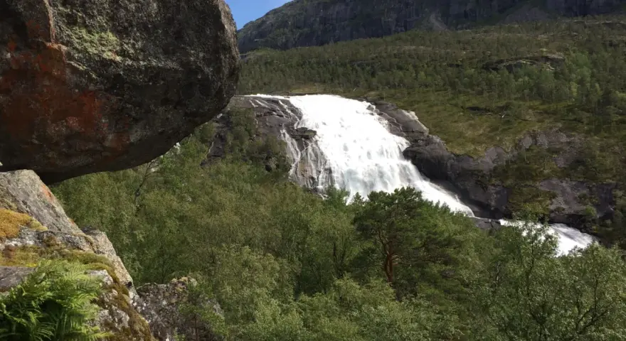 En mäktig fors forsar nerför bergssluttningen, omgiven av grönskande skog och stenblock. En perfekt vy för vandring på Hardangervidda.