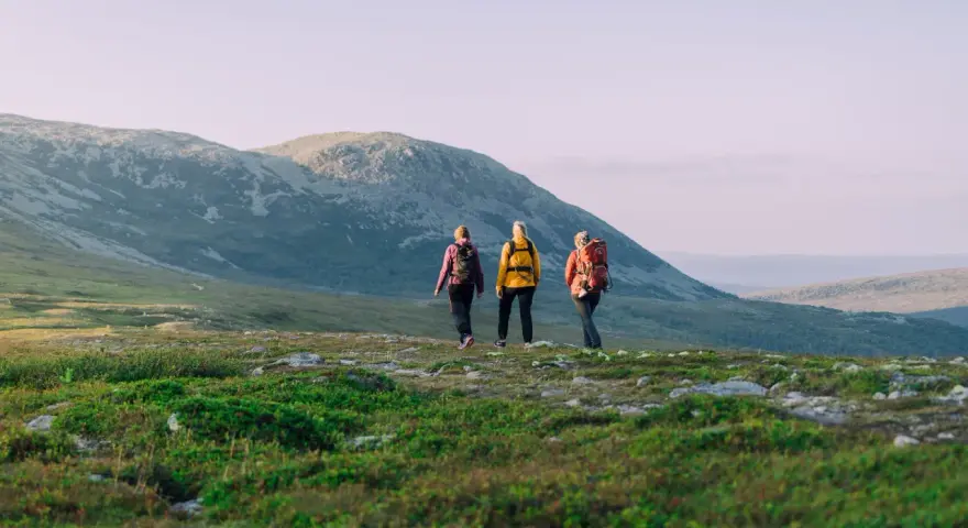 Tre personer på vandring i Idre fjällandskap. Solen lyser på de böljande kullarna och fjällen i bakgrunden.