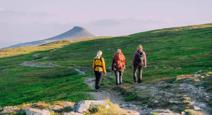 Tre vänner vandrar på en stig i fjällen, redo för äventyr med sina ryggsäckar. En perfekt stund för att kolla stf packlista.