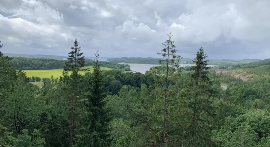 Vacker utsikt över sjö och skog, perfekt för vandringsleder Alingsås. Molnig himmel över det gröna landskapet.