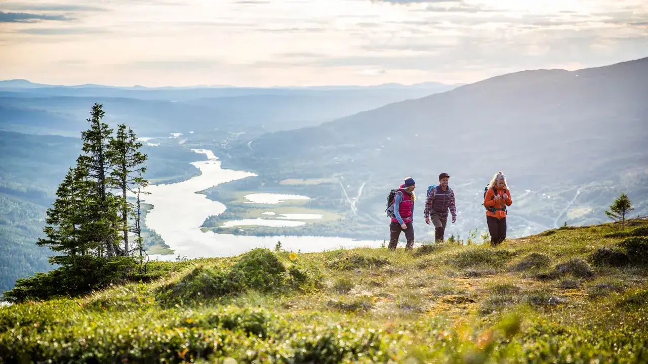 Tre vandrare njuter av en solig dag på en av de många vandringslederna i Åre. Vacker utsikt över sjöar och berg.
