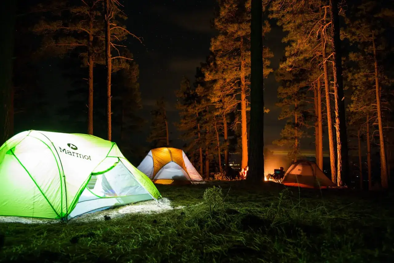 Tält upplysta i skogen på natten, en perfekt packlista camping för äventyret.