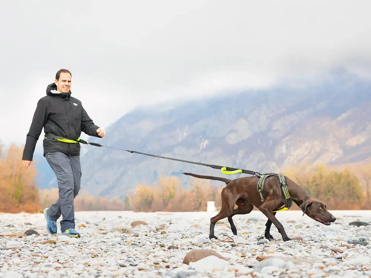 Man springer med hund och anv&auml;nder en speciell utrustning f&ouml;r att springa med hund.