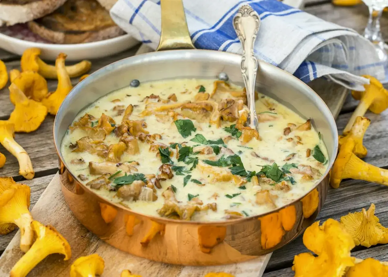 Krämig svampgryta med kantareller, perfekt för ett höstligt kantareller recept. Serveras med rostat bröd.