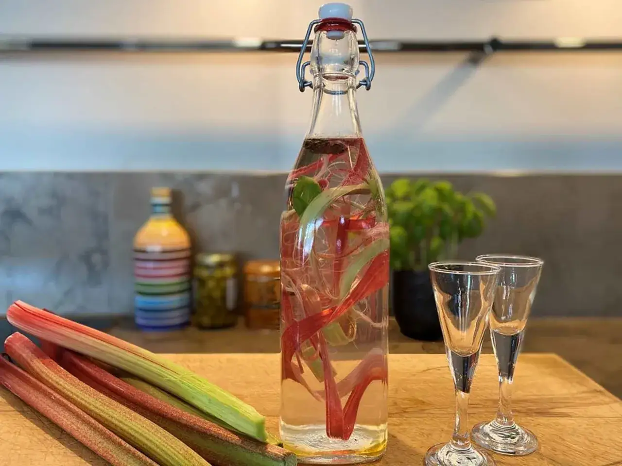 En flaska med rabarbersnaps, färska rabarberstjälkar och två små snapsglas.