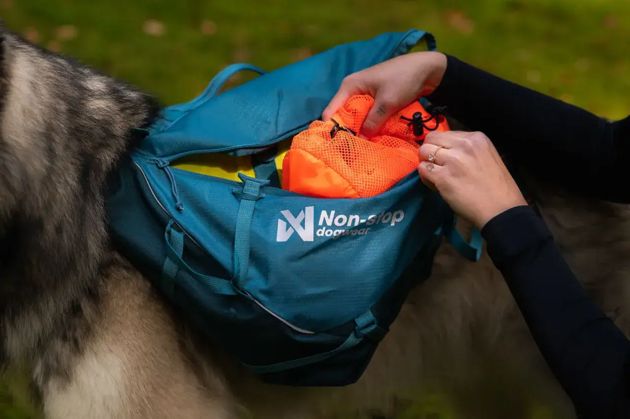 Förbereder för att campa med hund. En person packar en blå hundryggsäck med orangea påsar.