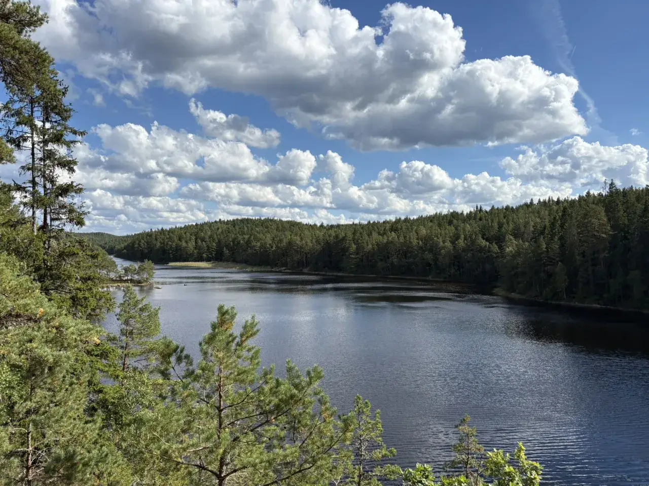 Vacker sjö omgiven av skog, perfekt för vandringsleder i Alingsås. Molnen speglar sig i det mörka vattnet.